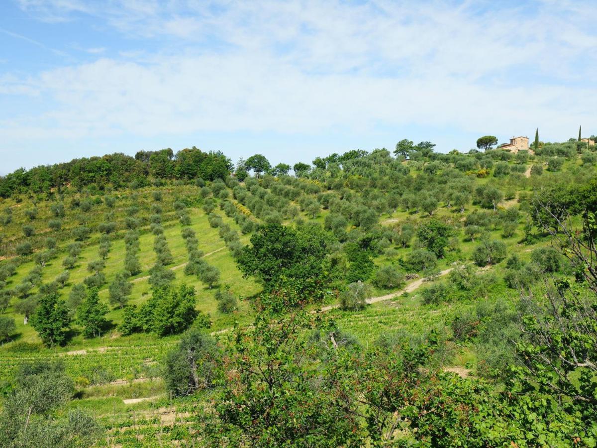 Holiday Home Poggio Velluto By Interhome Seggiano Εξωτερικό φωτογραφία